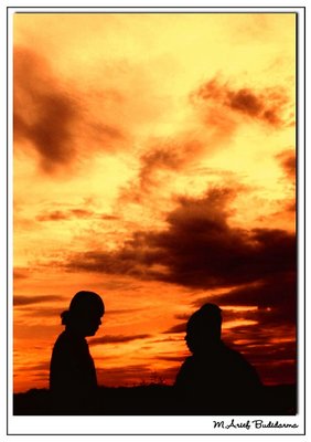 Yellow Sky