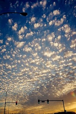 Popcorn Sky