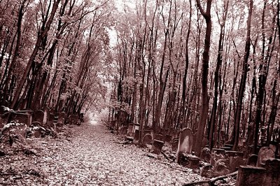 Old Jewish Cementary