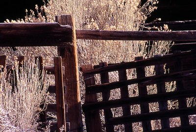 Fence 2 Bodie