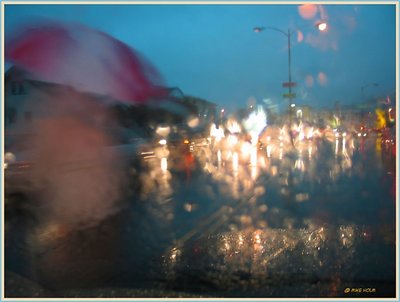WET  CITY
