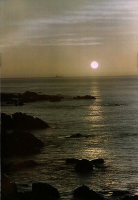 Sea of Cortez in the Moonlight (Vertical)