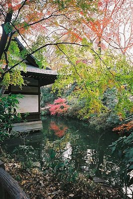 Koganei Park (4)