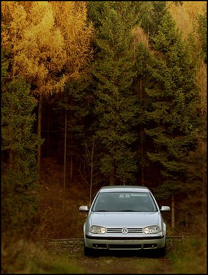 Autumn Landscape with VW