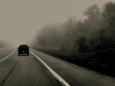 into the fog