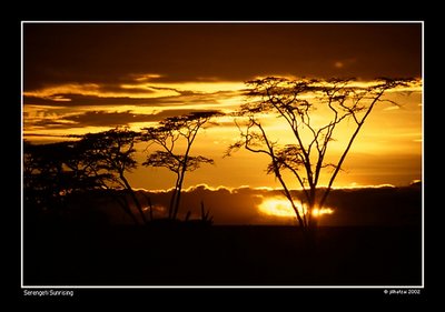 Serengeti Sunrising