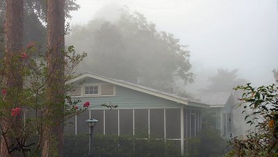 Foggy Cabin