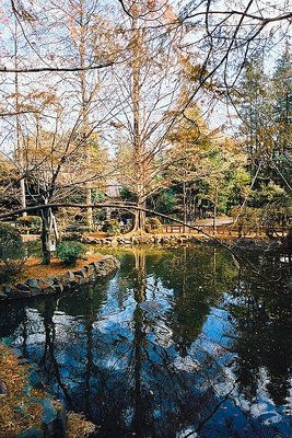 Koganei Park (again)
