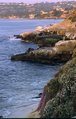 Lajolla coastline