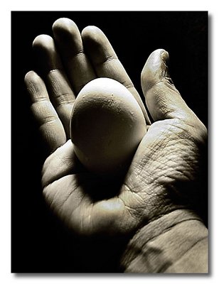 *Hand n Egg*
