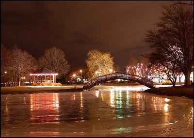 Winter Reflections