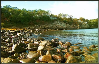 Golden Rocks. Pigeone Cove 2003