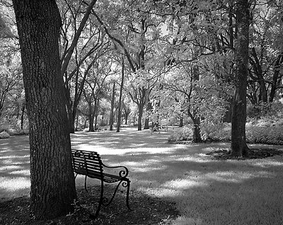 Resting Place