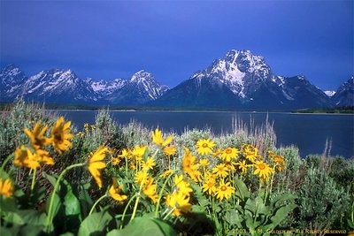 Grand Tetons at Sunrise