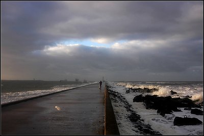 Pier van Hoek van Holland