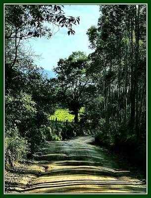 The long and green way....