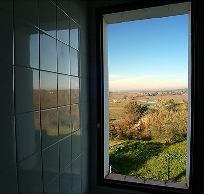 A Bath-room with a View