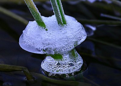Ice foam