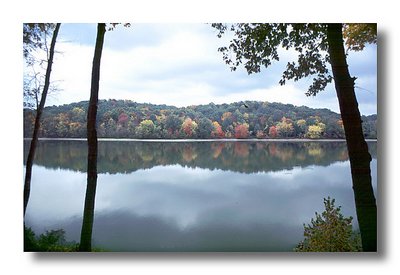 Reflections of Fall