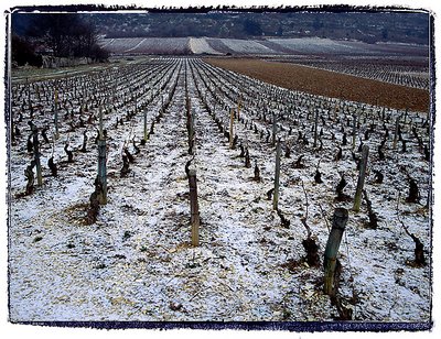 Snowfall in Burgundy