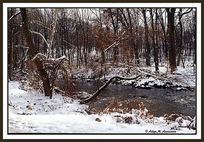 Pennypack Park (s1403)