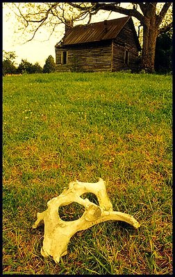 OL FARM TENANT HOUSE:   Madison Ga. USA