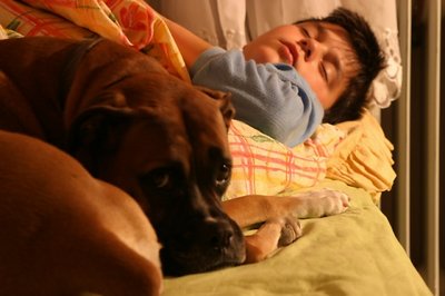 Sleep with a dog