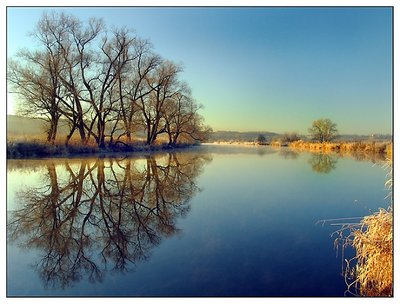 Reflections