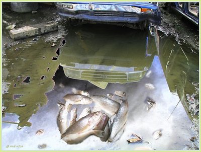 BAD WATER KILLS