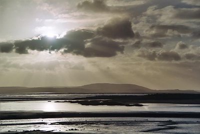 Coastal Rays