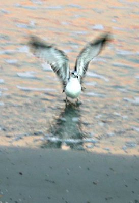 Soft Landing