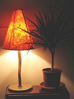 Lamp