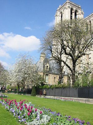 Notre Dame in spring