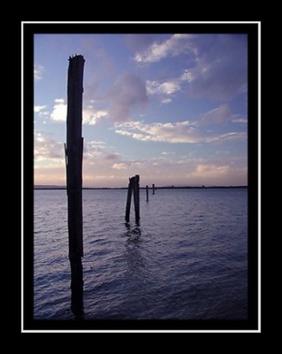 Low Tide