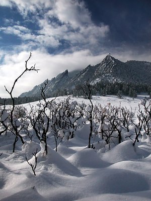 Snow Waves