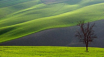 Marche Tavullia