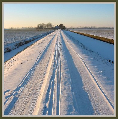 The Road to Springtime