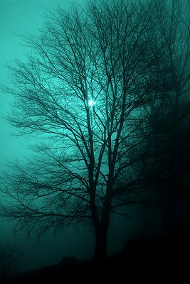 Blue fog