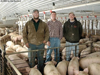 Three Guys and a Hog Confinement Unit