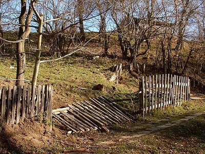 The Broken Fence