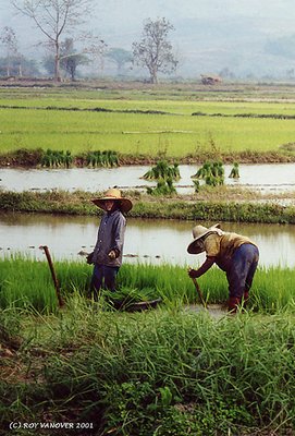 Thailand