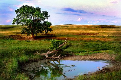 Quiet Reflections