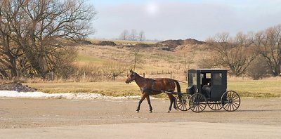 Mennonite Traveller