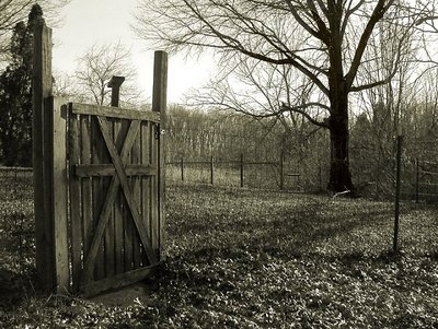Gothic Gate