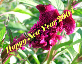 Happy New Year 2004 to Usefilm family