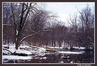 Pennypack Park (s1418)