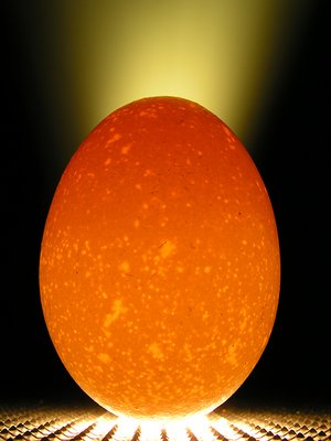 Eggstraterrestrial