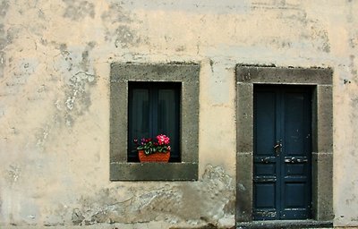 Door & window