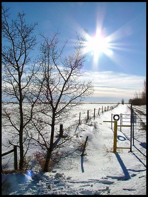 Cold Day, in rural Alberta.