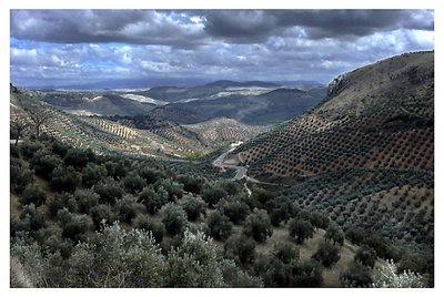 Andalusian Lanscape